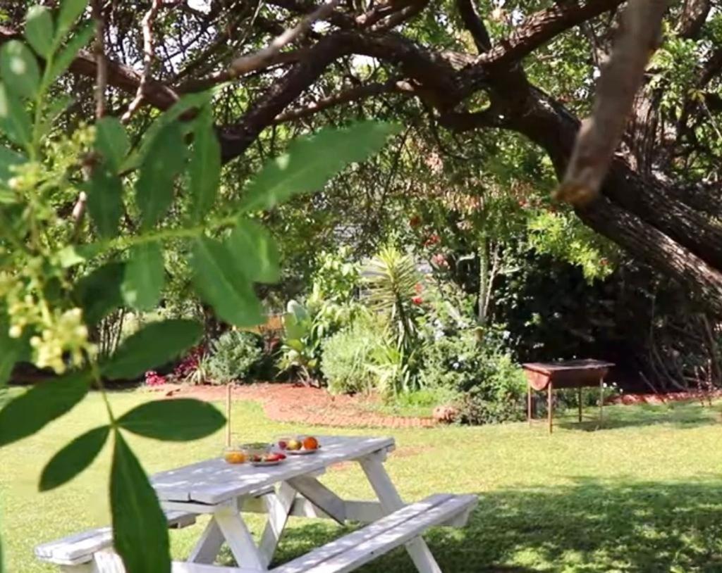 בולוואיו Choice Backpackers Lodge מראה חיצוני תמונה