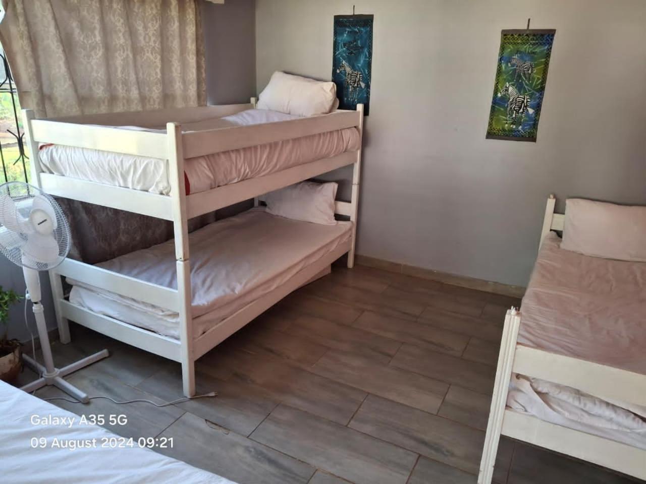 בולוואיו Choice Backpackers Lodge מראה חיצוני תמונה